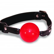 SS100-24-ProductItem2